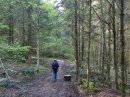 Forêt de Morteau
